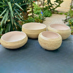 Medium Succulent Pot