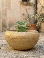 Medium Succulent Pot