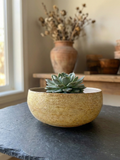 Large Succulent Pot