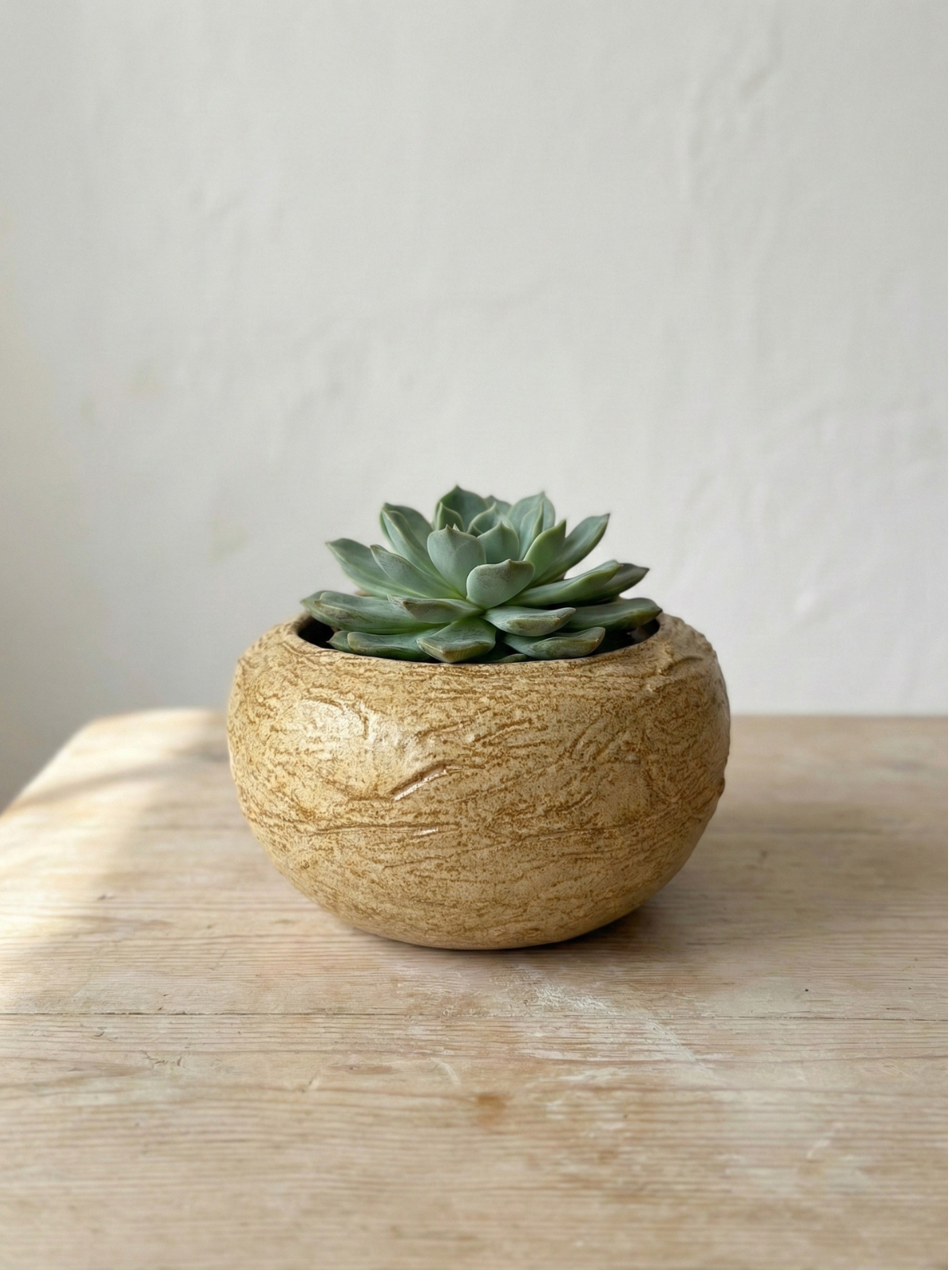 narrow succulent planter Small Succulent Pot – Rune Ceramics