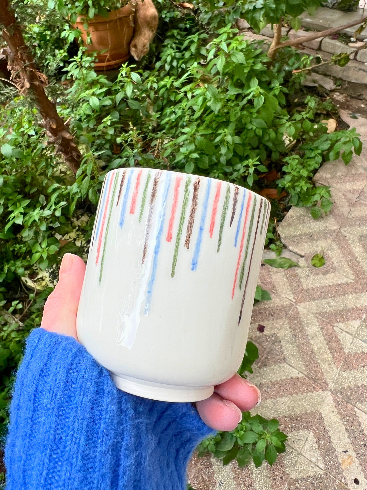 Stripes Cup