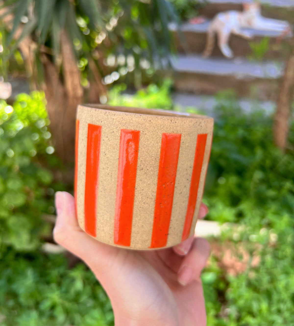 Circus Medium Cup