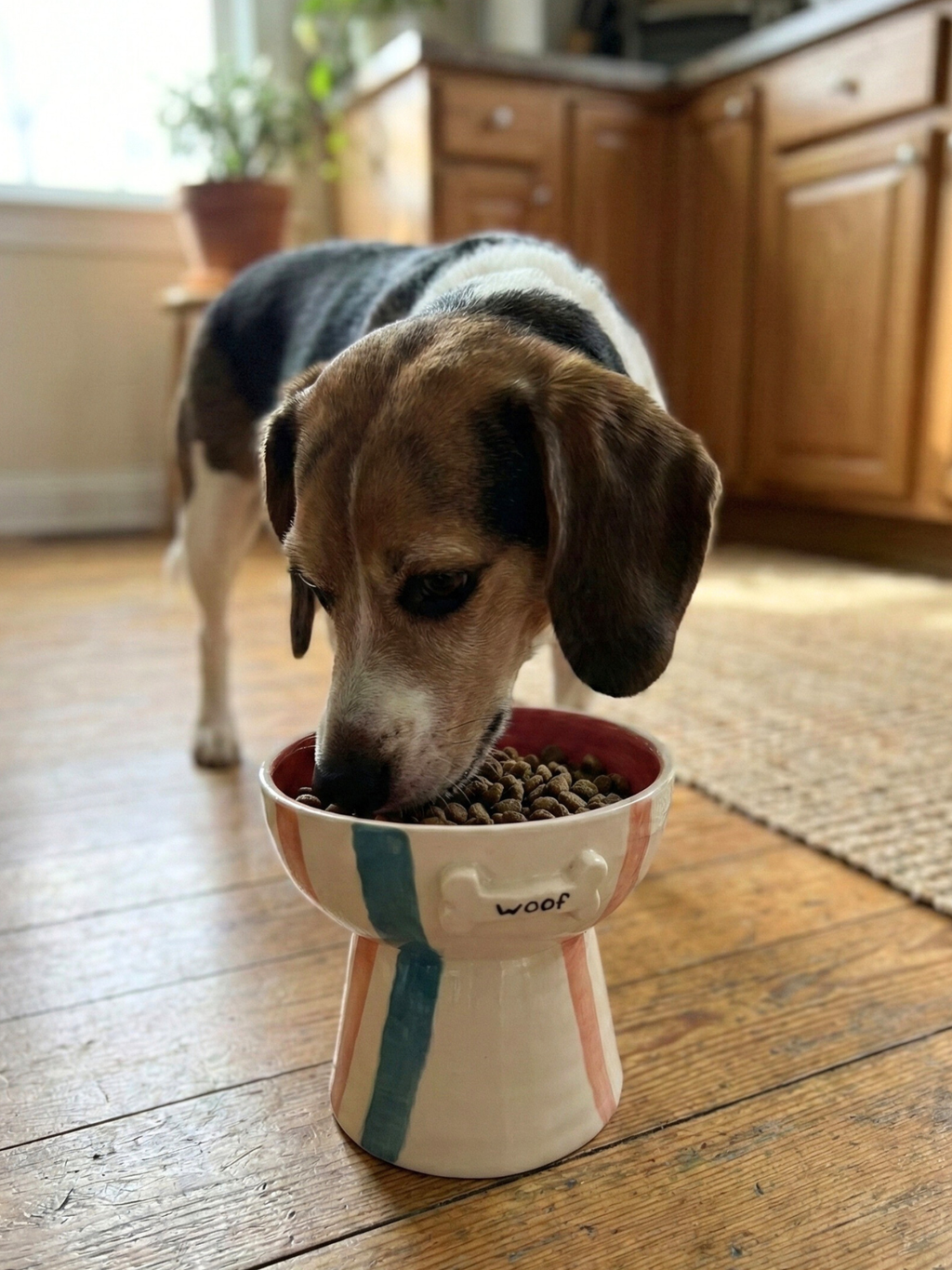 Furry Pet Bowl