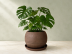 Mabel Planter