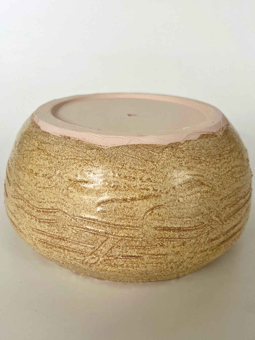 Medium Succulent Pot