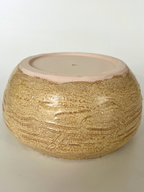 Medium Succulent Pot