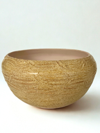 Medium Succulent Pot