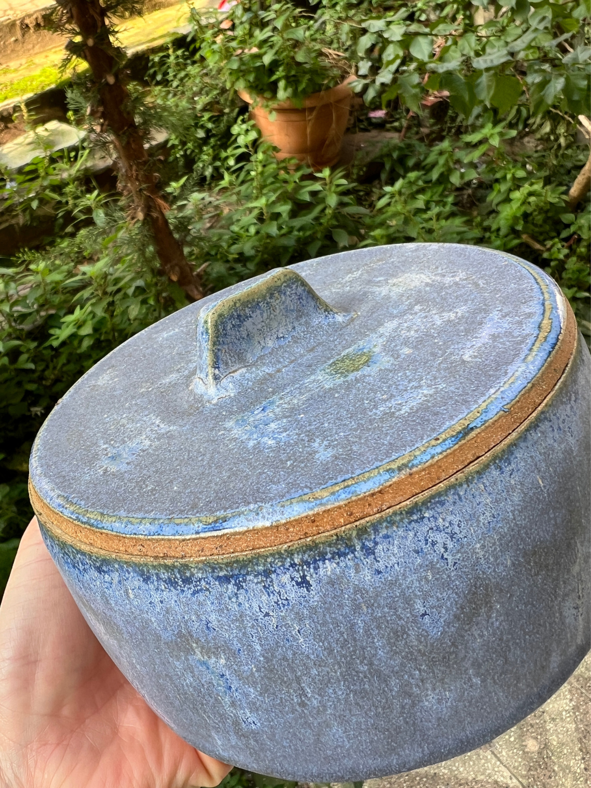 Midnight Trinket Kutu