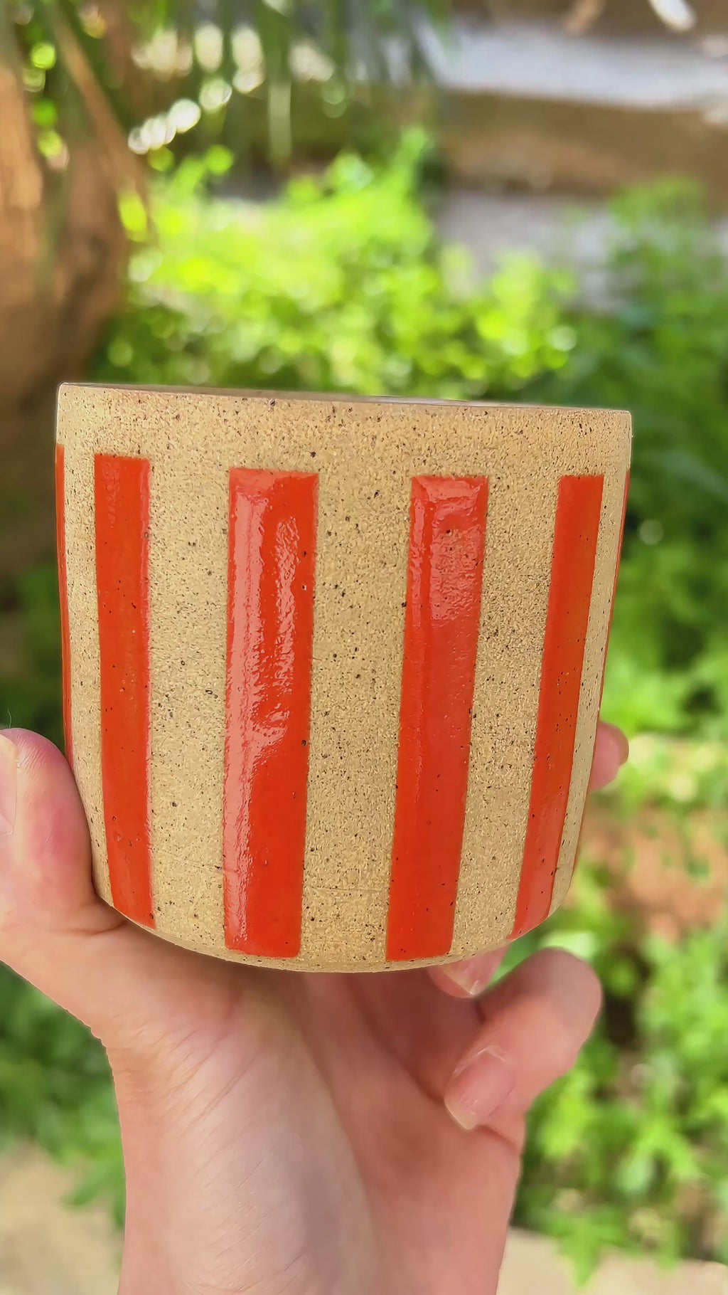 Circus Medium Cup