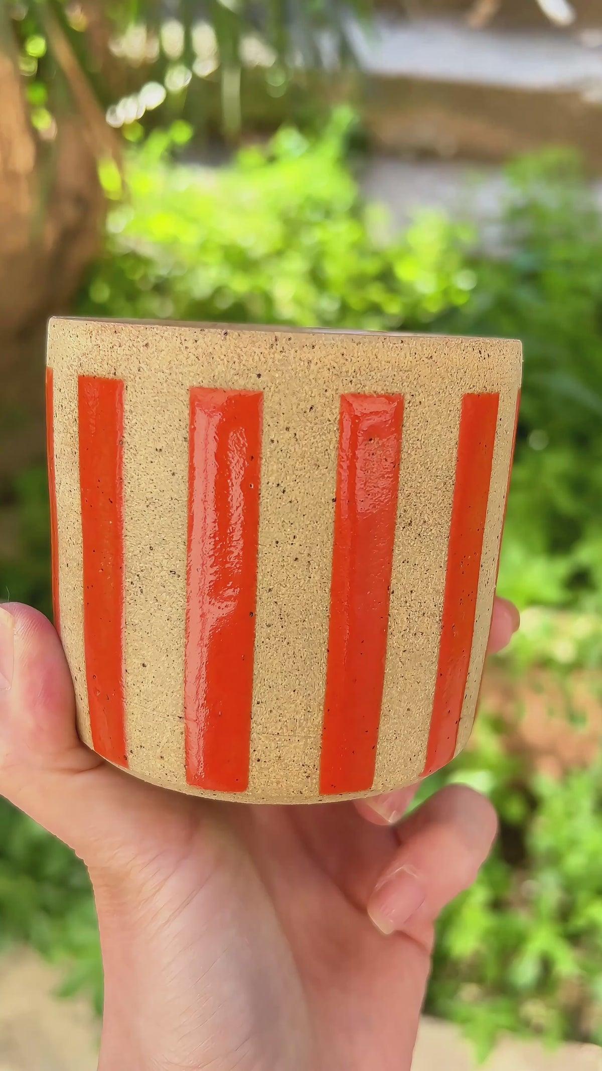Circus Medium Cup