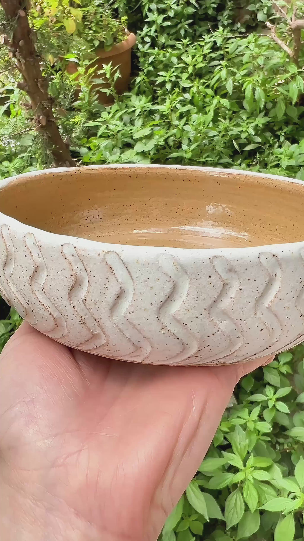 Lines Bowl