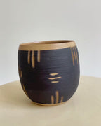 Çizgili Cup