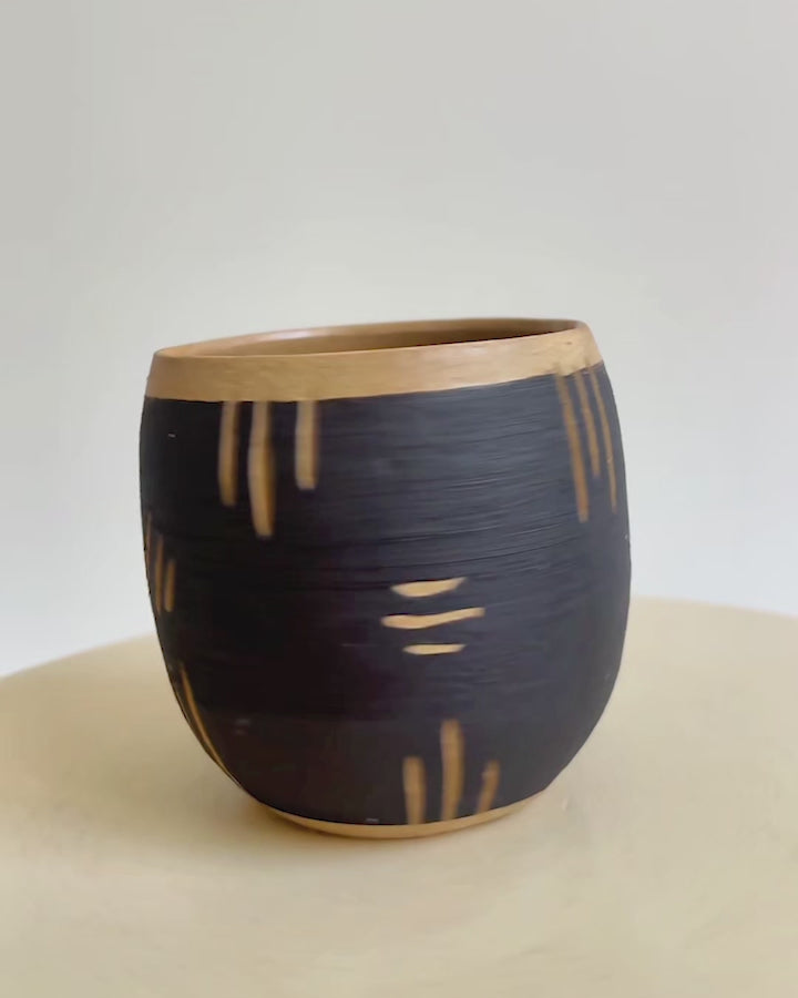 Çizgili Cup