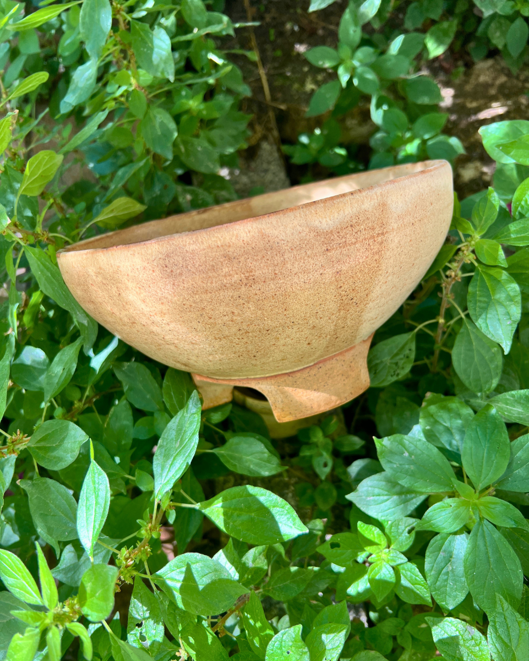 Rustik Bowl Large